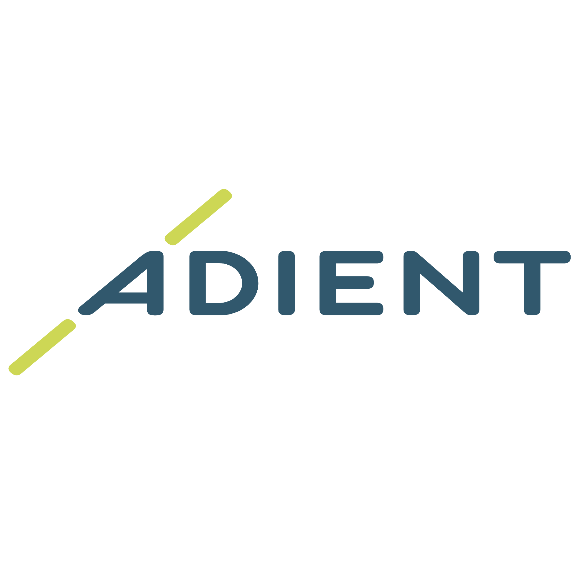 Client Logo